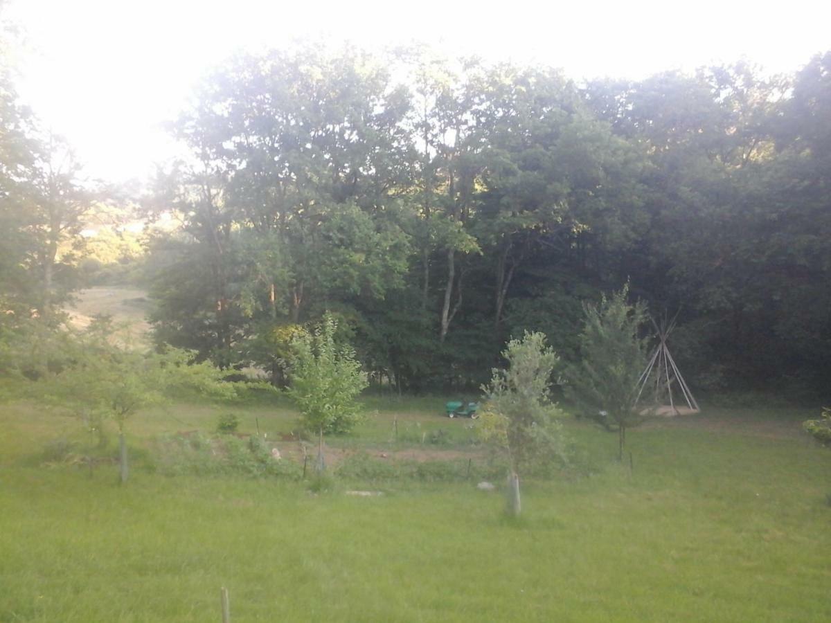 Гостевой дом La Clairiere Сарла-ла-Канеда Экстерьер фото